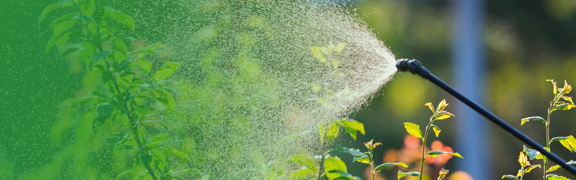 Qual é a diferença entre um soprador de névoa e um pulverizador de energia?